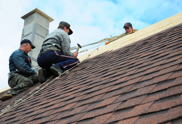 Best Roof Gutter Cleaning  in Longview, WA